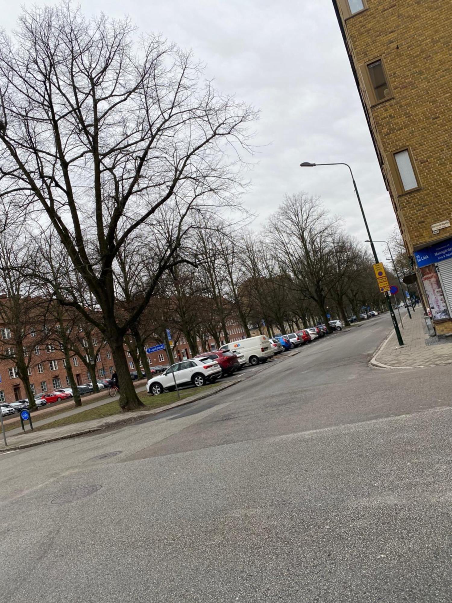 Comfort Appartment In Vaernhem, Malmoe Exterior foto